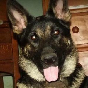 Meet your Posher, Robin